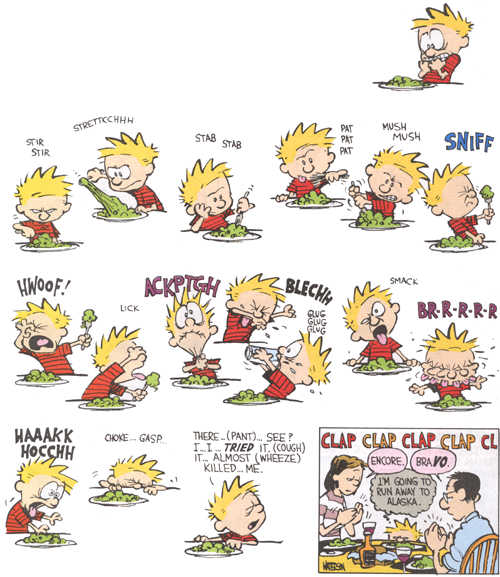 Calvin and Hobbes