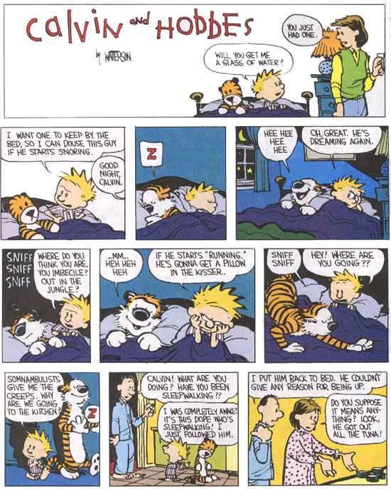 Calvin and Hobbes