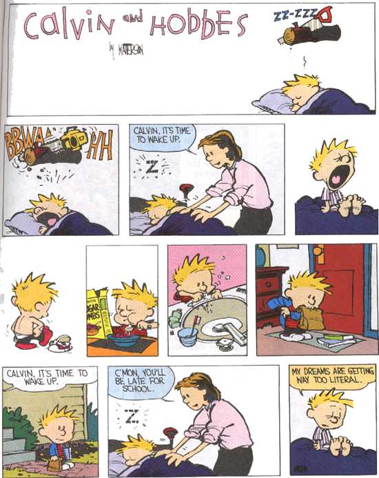 Calvin and Hobbes