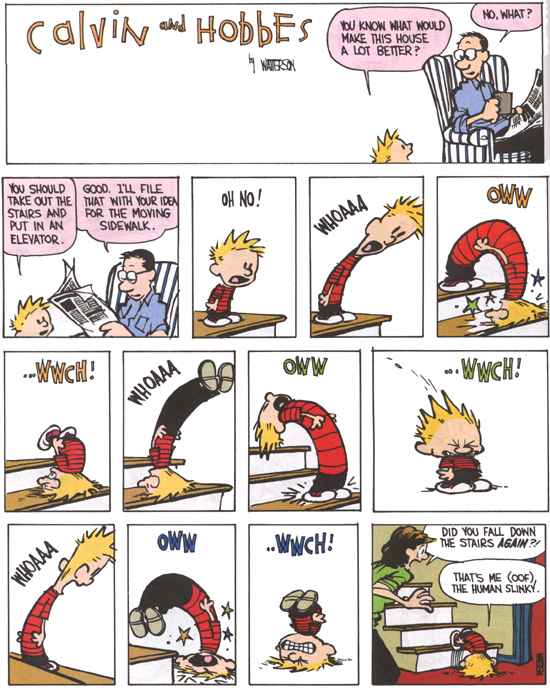 Calvin and Hobbes