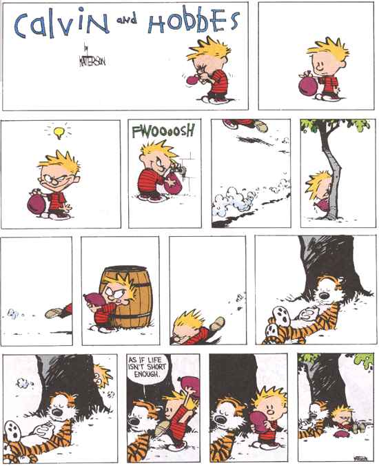 Calvin and Hobbes