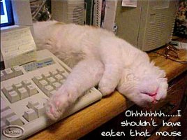 I shouldn't have eaten that mouse