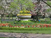 London, April 13-15th 2007: Meeting Sun Lim. The goal of Sunday's journey: Regent's Park.