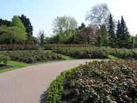 London, April 13-15th 2007: Meeting Sun Lim. Regent's Park: The Inner Circle.