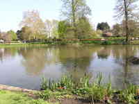 London, April 13-15th 2007: Meeting Sun Lim. Regent's Park: More water.